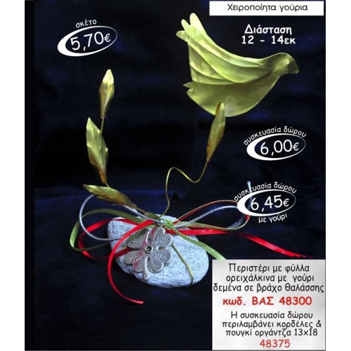 ΠΕΡΙΣΤΕΡΙ ΜΕ ΦΥΛΛΑ ΟΡΕΙΧΑΛΚΙΝΑ ΔΕΜΕΝΑ ΣΕ ΒΡΑΧΟ ΘΑΛΑΣΣΗΣ ΓΟΥΡΙ 2015